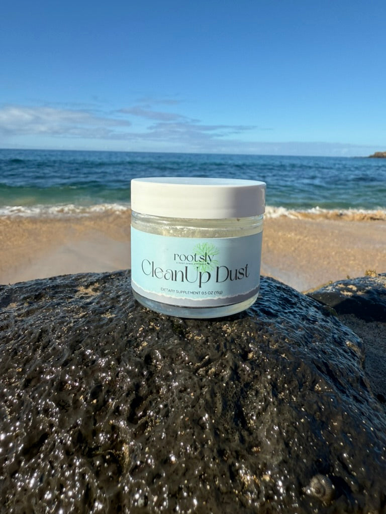 Travel-Size CleanUp Dust