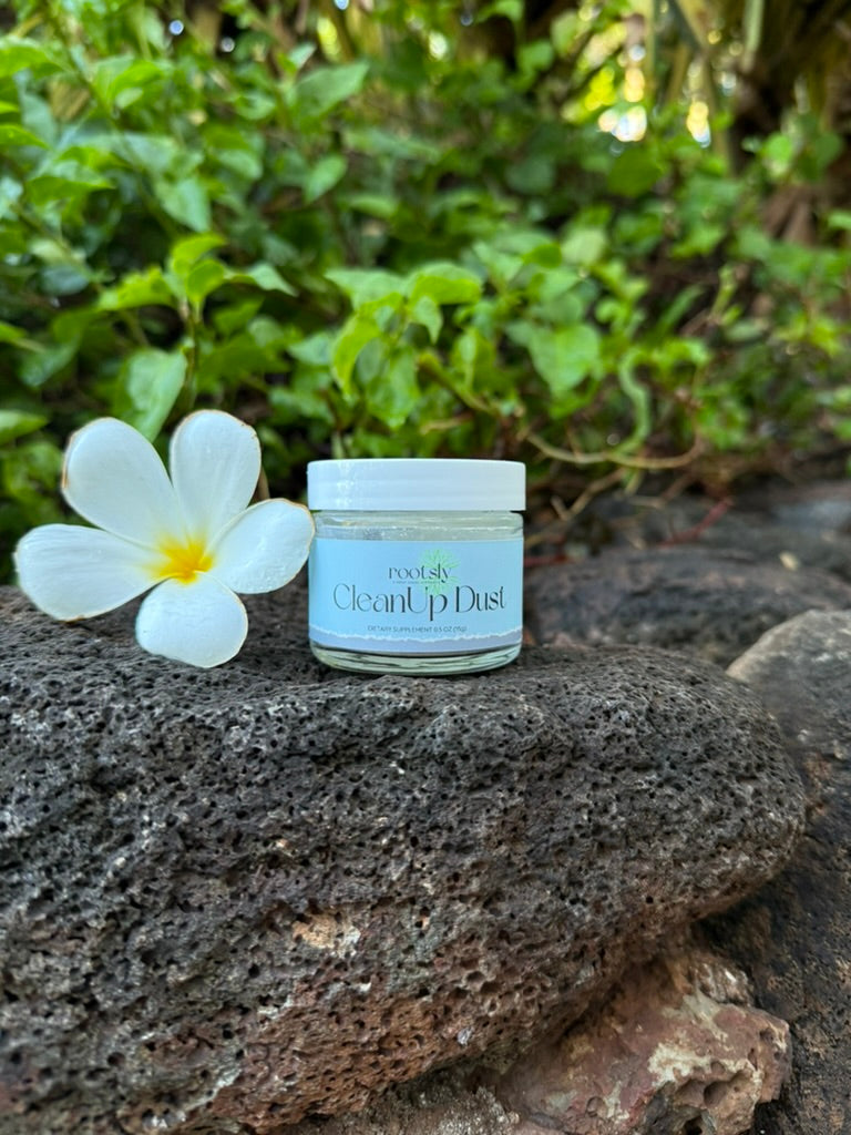 Travel-Size CleanUp Dust