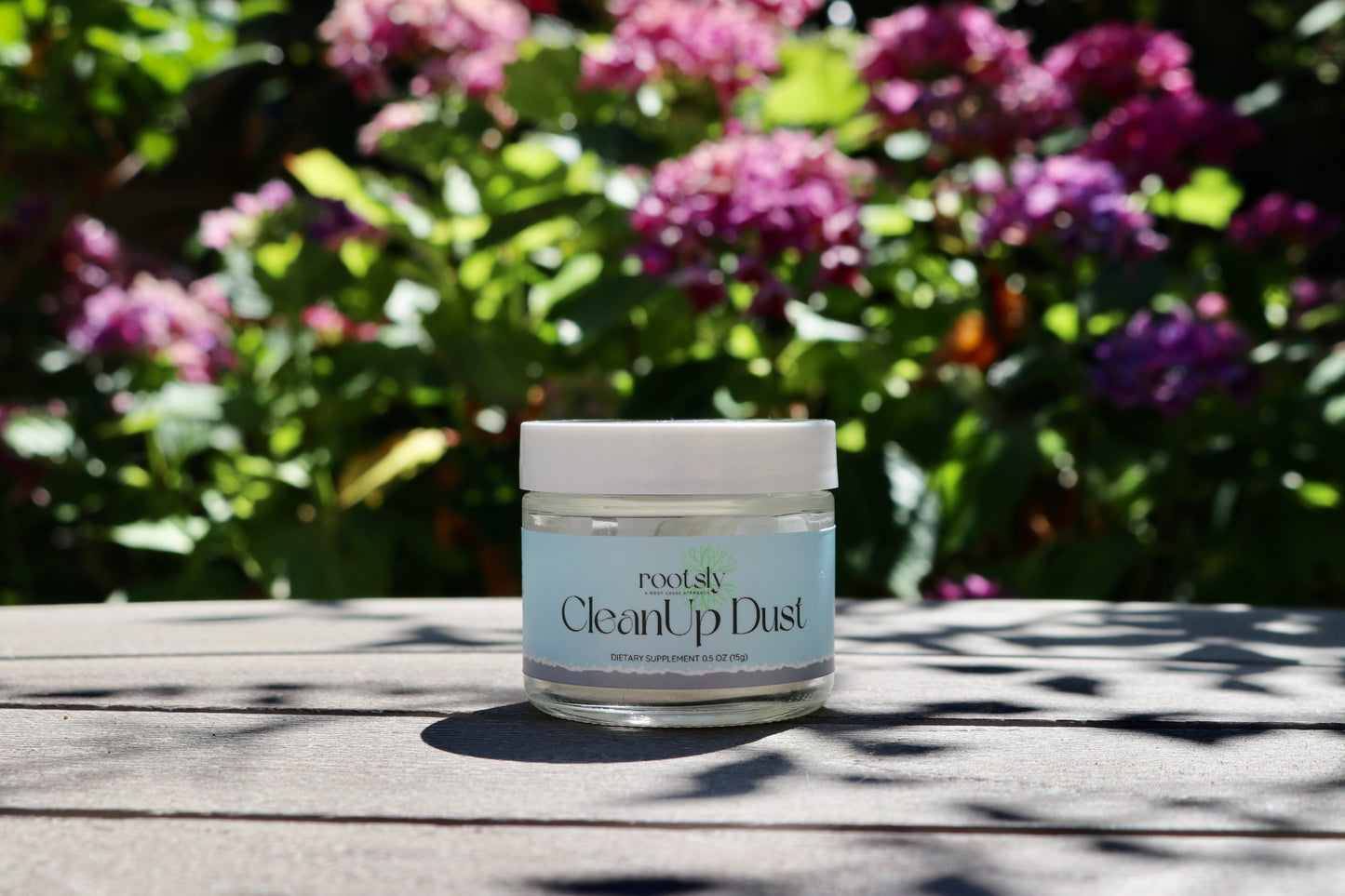 Travel-Size CleanUp Dust